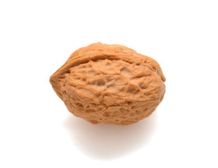 Single walnut in shell isolated on white background