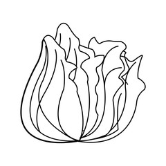lettuce vegetable icon over white background. vector illustration