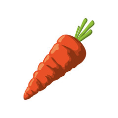 fresh carrot vegetable icon vector illustration graphic design