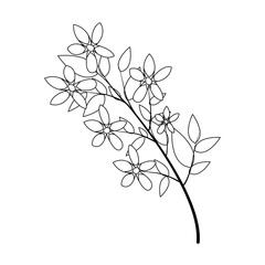 branch with flowers and leaves over white background. vector illustration