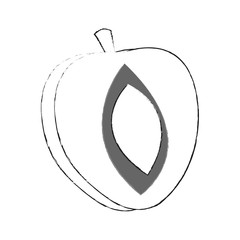 peach fruit icon image vector illustration design 