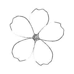 Naklejka premium delicate flower icon image vector illustration design 
