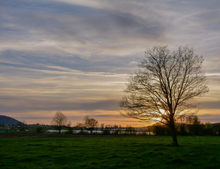 Schöner idyllischer Sonnenuntergang - Sonne hinter dem Baum
