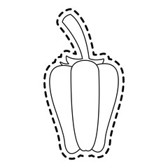 bell pepper vegetable icon image vector illustration design 
