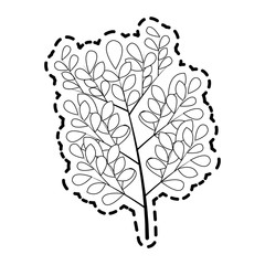 plant branch icon image vector illustration design 