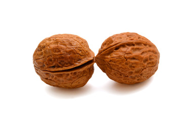 Two raw walnuts in shell isolated on white background