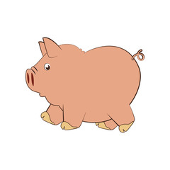 piggy character funny icon vector illustration design