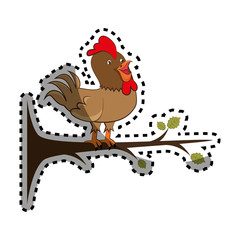 chicken farm isolated icon vector illustration design