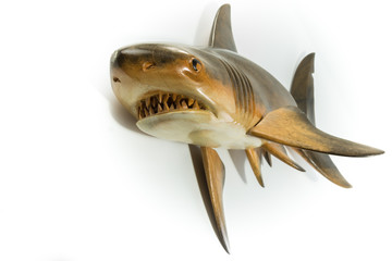 Shark handmade sculpted on wood isolated in white background