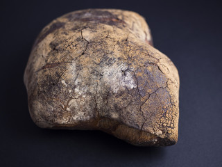 Obraz premium Rustic bread with brown crust made in wood fire oven isolated on black background