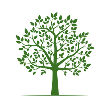 Green Tree with Leaf. Vector Illustration.