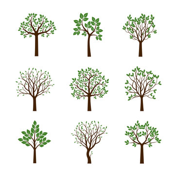 Collection of Spring Trees. Vector Illustration.