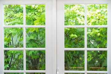 Wood window frame with green leaves background