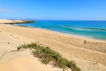 View of sand dunes and ocean in Corralejo National Park, Fuerteventura, Canary Islands, Spain