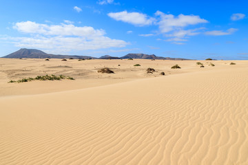 Sand dune in Corralejo National Park, Fuerteventura, Canary Islands, Spain