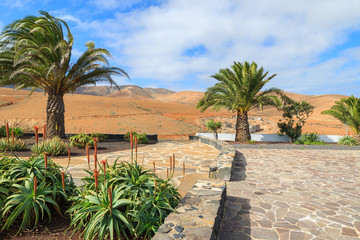 Palm trees on village square in volcanic mountain landscape of Fuerteventura island, Spain © pkazmierczak