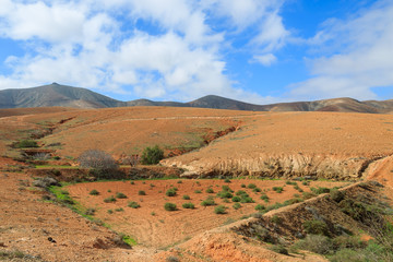 Mountain landscape with volcanoes on Fuerteventura island, Spain