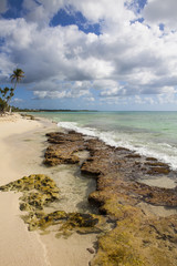 Fototapeta na wymiar Caribbean reef