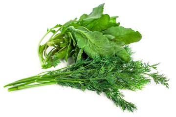 green dill and spinach on a white background