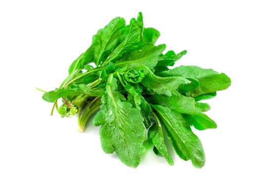 Bunch of spinach isolated on white background