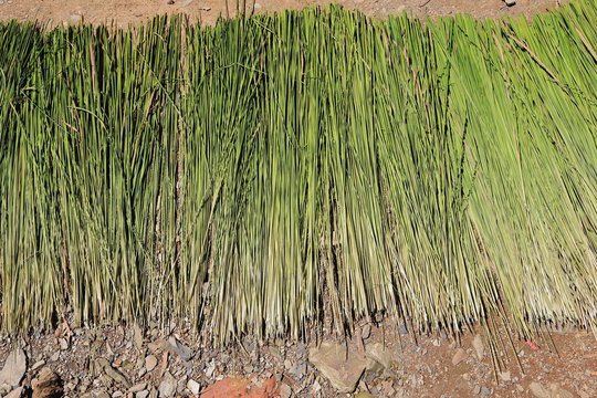 Grass stems on the floor-Nnal.Road 2E entering PakNamNoy-Phongsali province-Laos. 3748