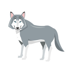 wolfe icon over white background. colorful design. vector illustration