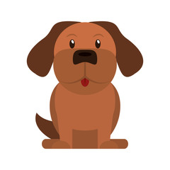 cute dog icon over white background. colorful design. vector illustration
