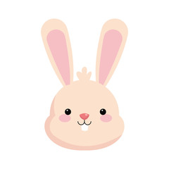 bunny icon over white background. colorful design. vector illustration