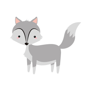 wolf icon over white background. colorful design. vector illustration