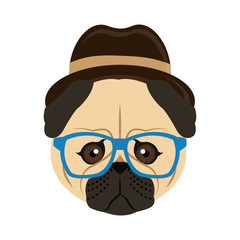 pug dog with glasses icon over white background. hipster style concept. colorful design. vector illustration