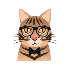 cat with glasses icon over white background. hipster style concept. colorful design. vector illustration