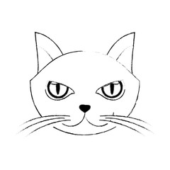 cat icon silhouette over white background, vector illustration design