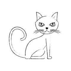 cat icon silhouette over white background, vector illustration design
