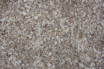 shell fragments, background