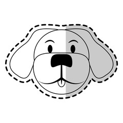 dog pet icon image vector illustration design 