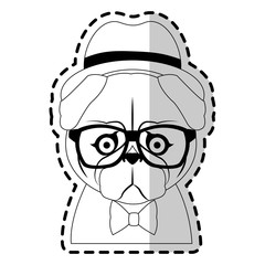 pug dog hipster animal icon image vector illustration design 