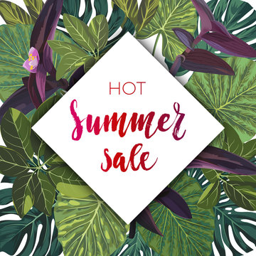 Summer tropical flyer design for sale with exotic palm tree leaves and purple flowers.
