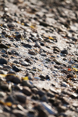 pebbles on beach