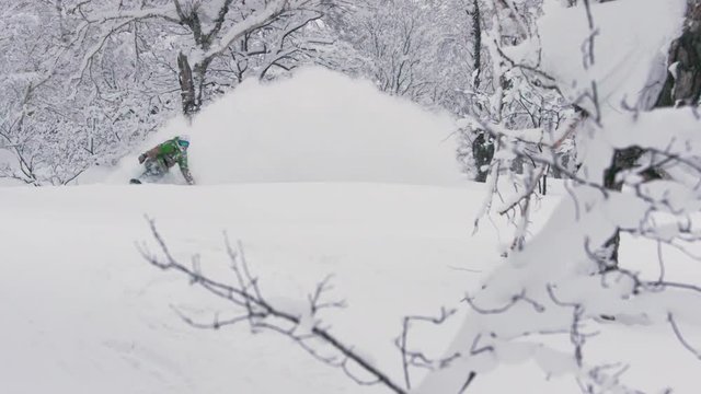 Snowboarder Freeride Backcountry Tree Run Spraying Fresh Powder Everywhere