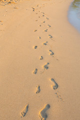 Set of Footprints in the Sand on Hawaii Beach