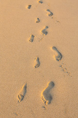 Fototapeta na wymiar Set of Footprints in the Sand on Hawaii Beach