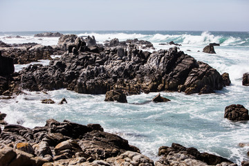 Fototapeta na wymiar Rocky Coastline in Monterey Bay, California