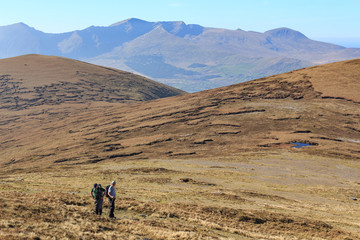 Walking on the Dingle Peninsula mountains looking west towards Brandon mountain from slopes of Beenoskee in County Kerry, Ireland