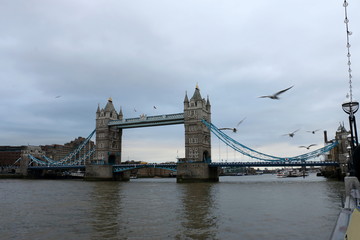 Fototapeta na wymiar Tower Bridge with Gulls