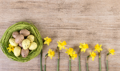 Arrangement with Easter eggs in green straw nest and flowers on light brown background