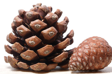 Natural cones