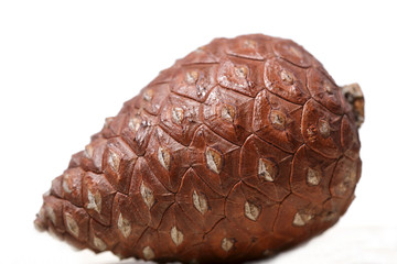Natural cones