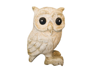Cute  owl on white background.