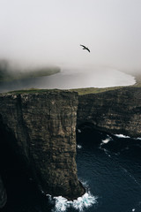 Faroe Islands - 142759024