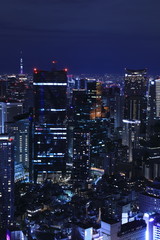 Fototapeta premium Tokyo night view